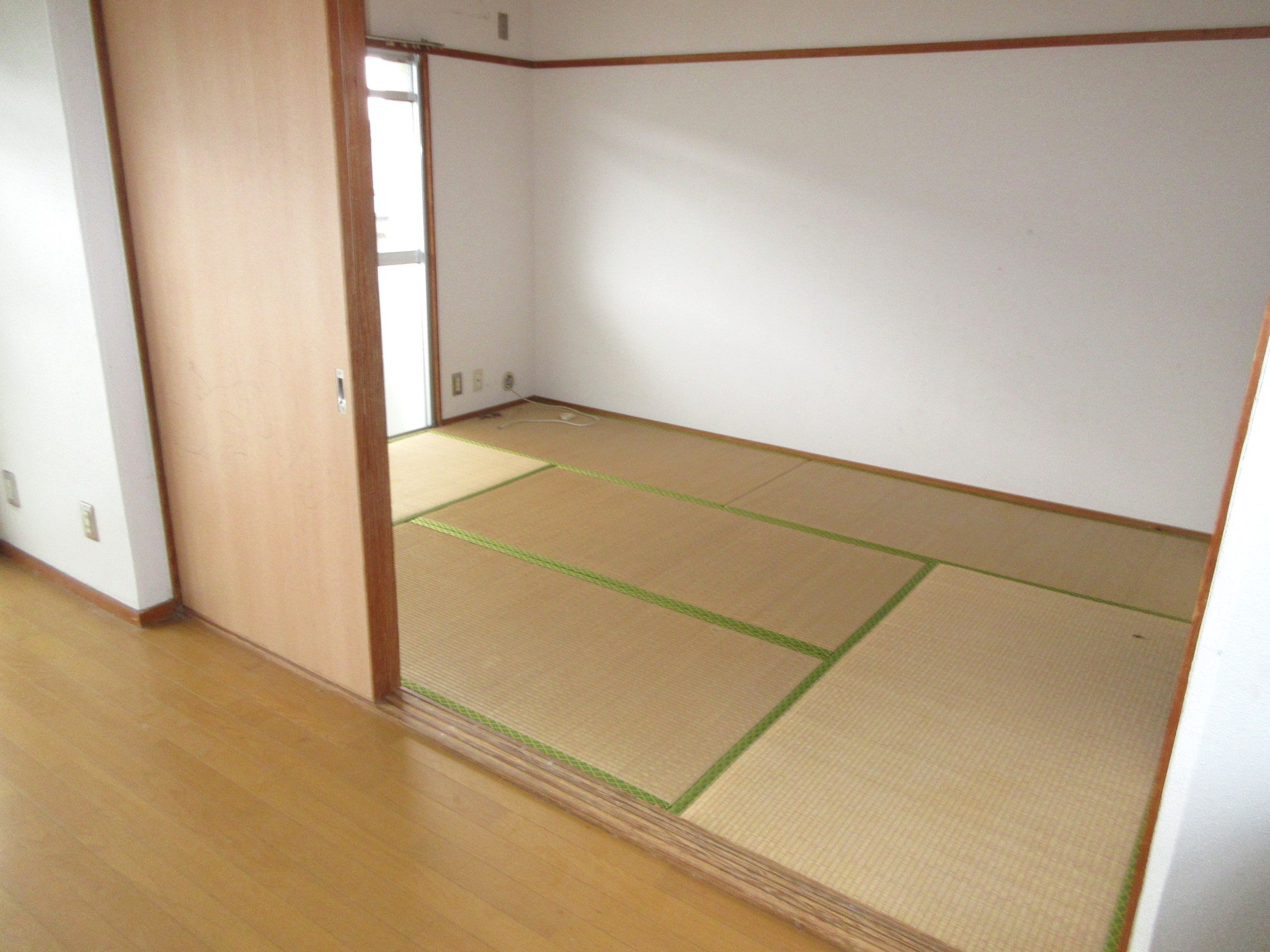 <br /> <b>Warning</b>:  Undefined array key 