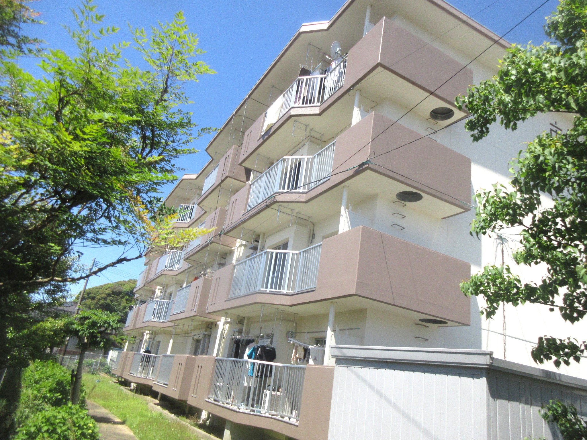 <br /> <b>Warning</b>:  Undefined array key 