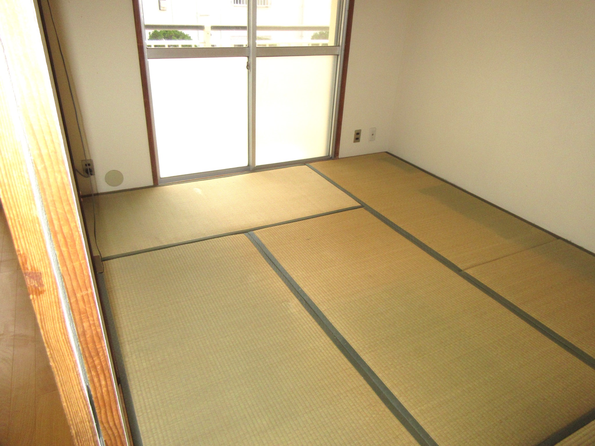 <br /> <b>Warning</b>:  Undefined array key 