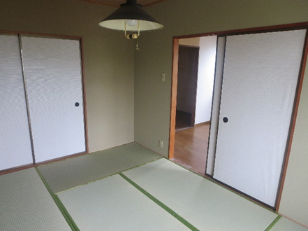 <br /> <b>Warning</b>:  Undefined array key 