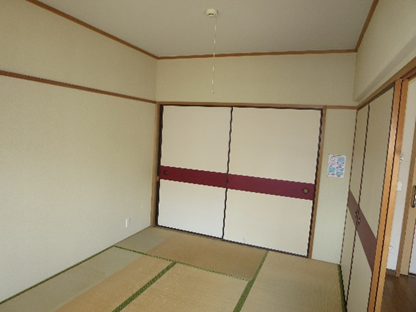 <br /> <b>Warning</b>:  Undefined array key 