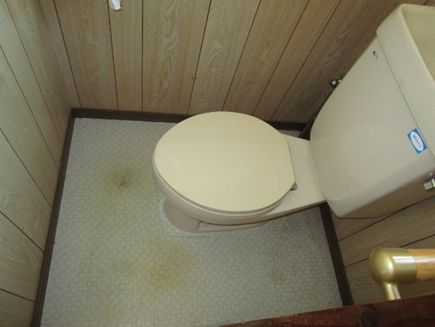 <br /> <b>Warning</b>:  Undefined array key 